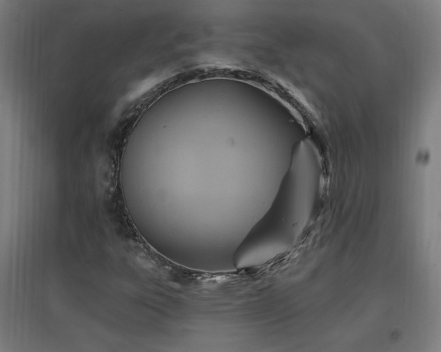 X0000096971303200802151259