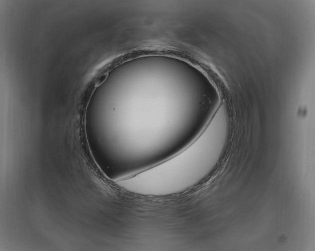 X0000096971304200802151259
