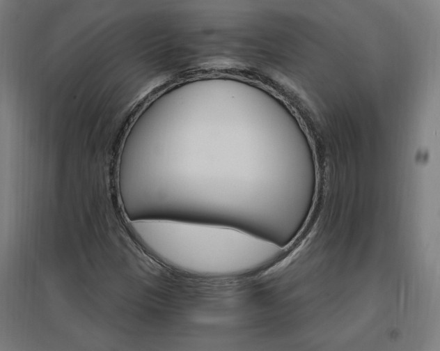 X0000096971305200802151259