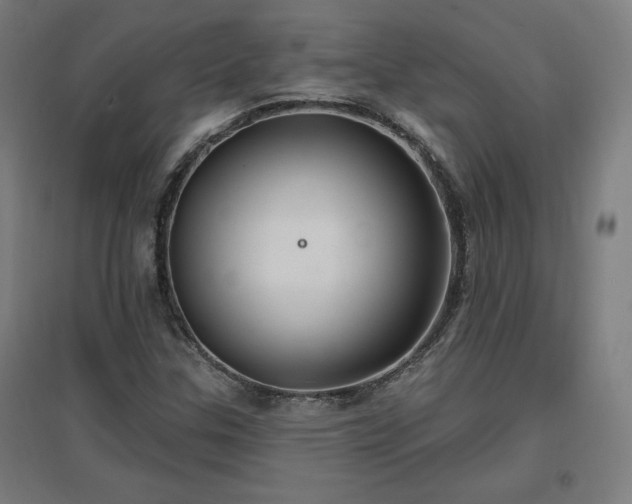 X0000096971307200802151259