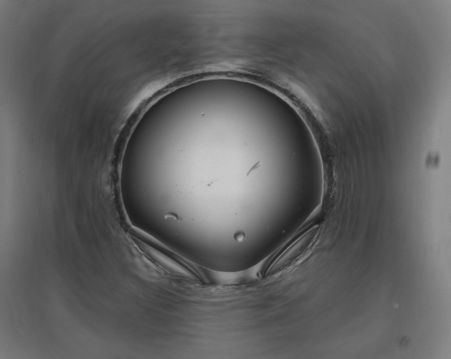 X0000096971308200802151259