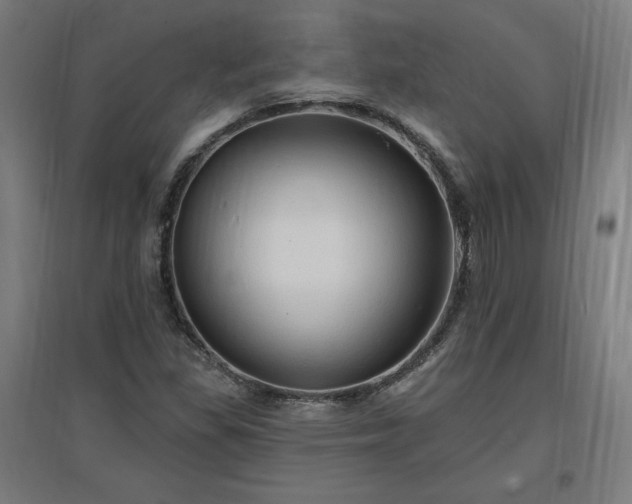 X0000096971309200802151259