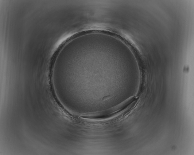 X0000096971312200802151259