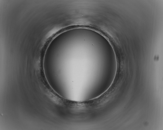 X0000096971315200802151259