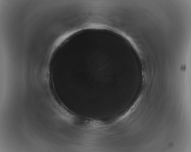 X0000096971319200802151259
