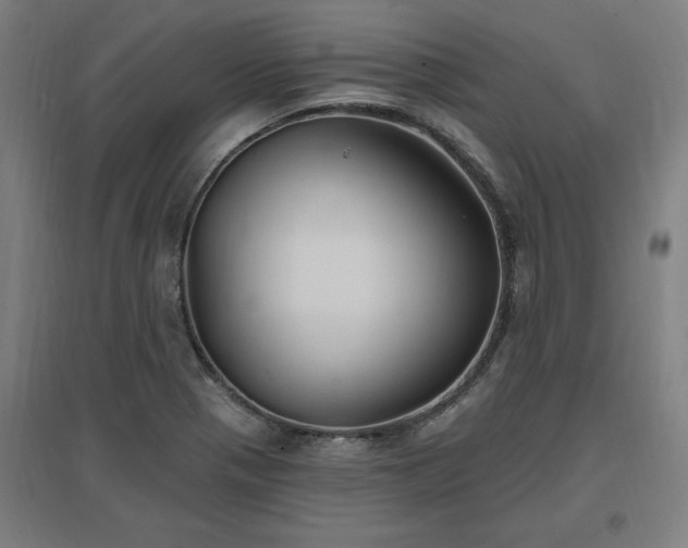 X0000096971321200802151300