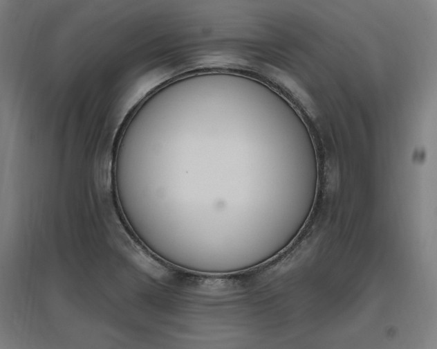 X0000096971322200802151300