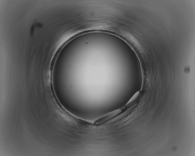 X0000096971324200802151300