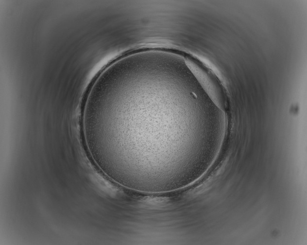 X0000096971325200802151300