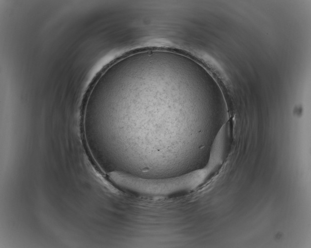 X0000096971326200802151300