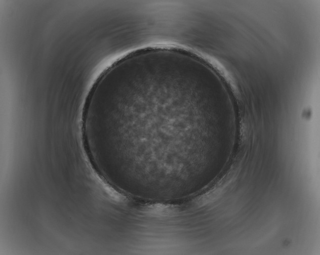 X0000096971327200802151300