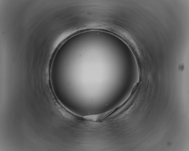 X0000096971328200802151300