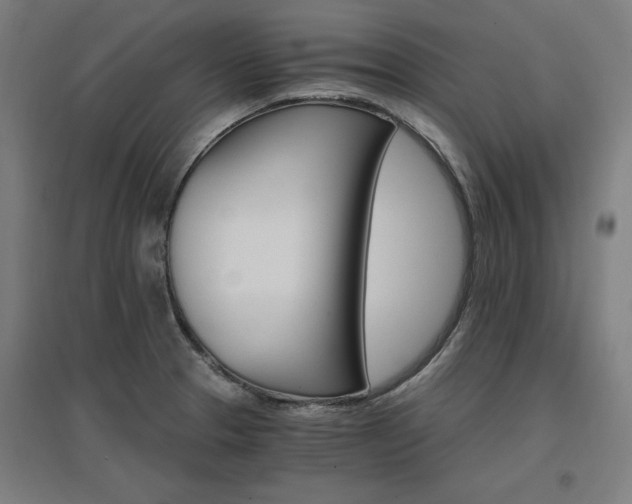 X0000096971329200802151300