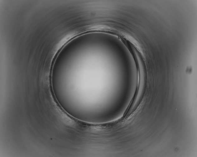 X0000096971330200802151300