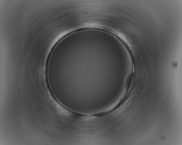 X0000096971331200802151300