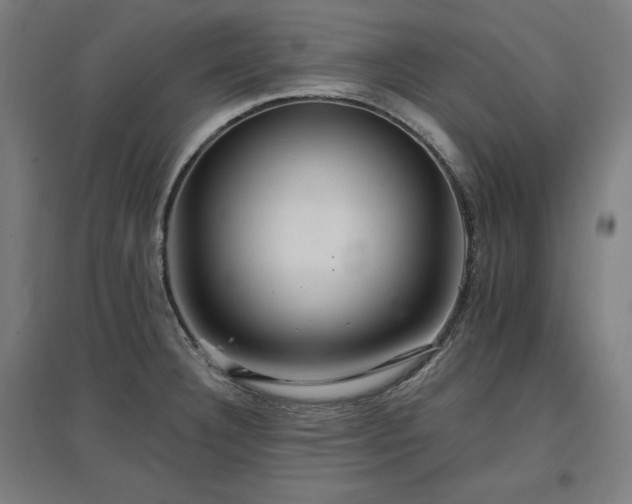 X0000096971332200802151300