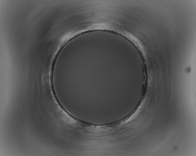 X0000096971334200802151300