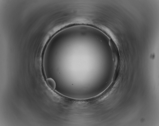 X0000096971335200802151300