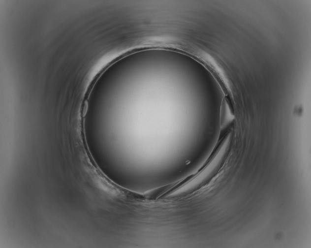 X0000096971336200802151300