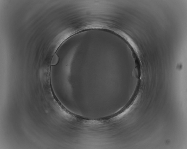 X0000096971337200802151300
