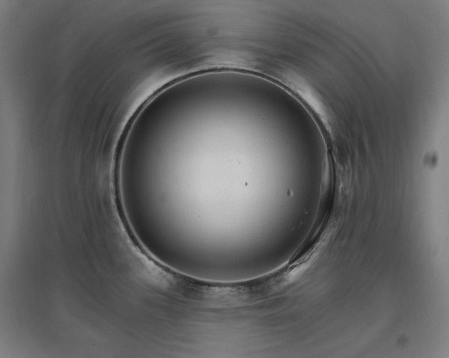 X0000096971339200802151300