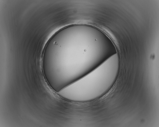 X0000096971340200802151300