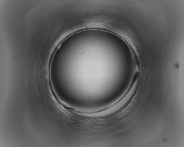 X0000096971342200802151300