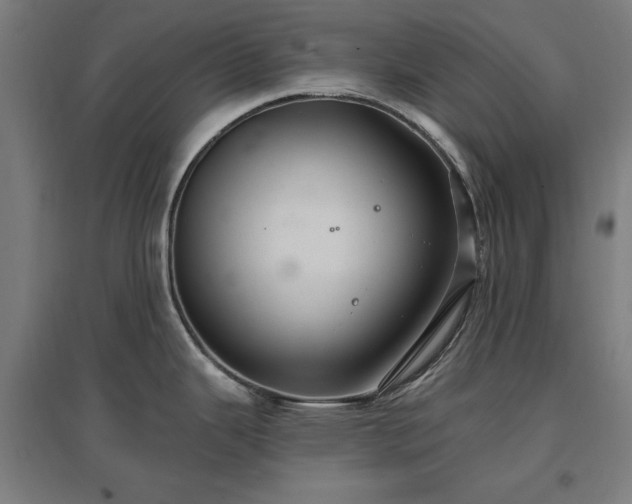 X0000096971343200802151300