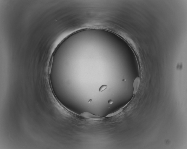 X0000096971344200802151300