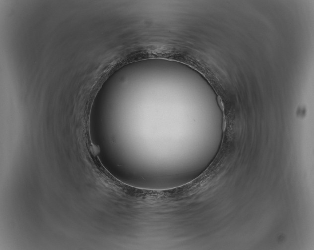 X0000096971345200802151259