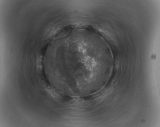 X0000096971346200802151259