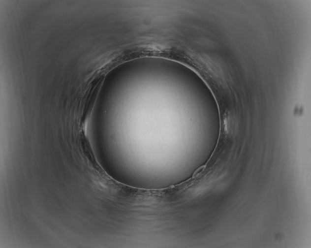 X0000096971347200802151259