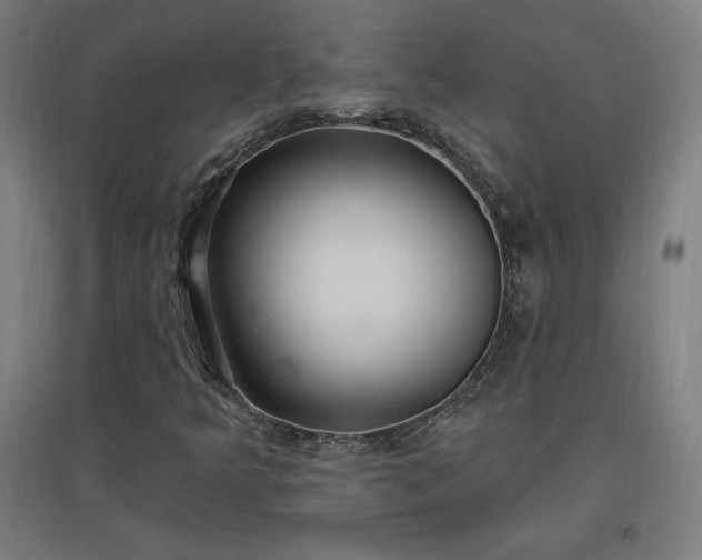 X0000096971349200802151259
