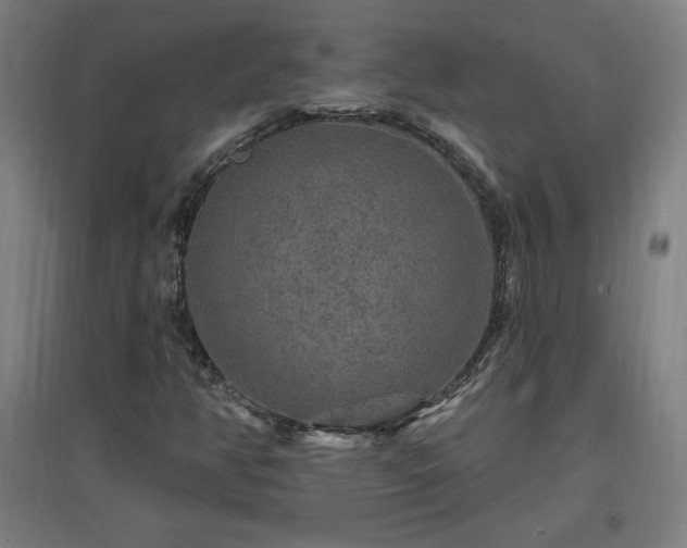X0000096971350200802151259