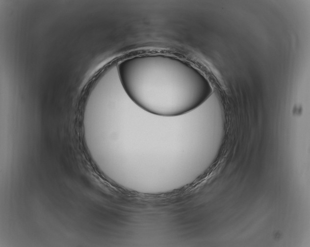 X0000096971352200802151259