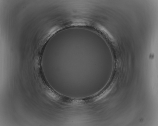 X0000096971353200802151259