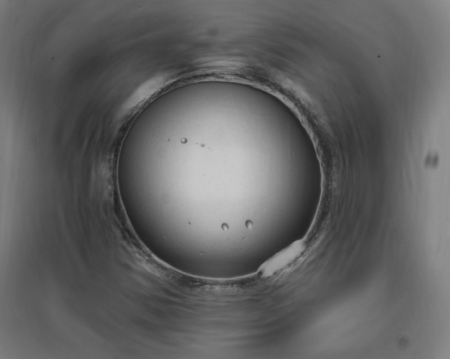 X0000096971354200802151259