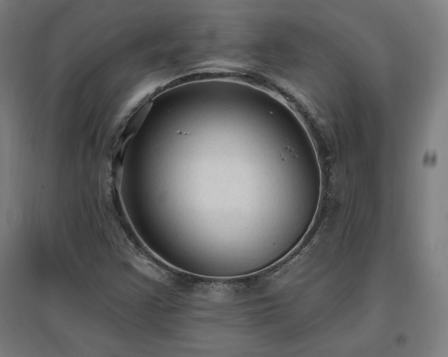 X0000096971355200802151259