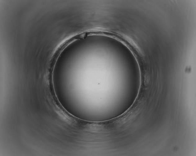 X0000096971356200802151259