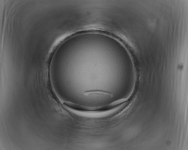 X0000096971358200802151259