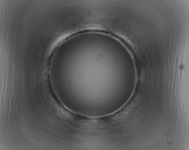 X0000096971359200802151259