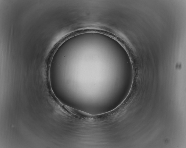 X0000096971360200802151259