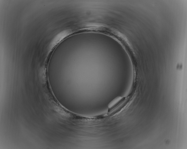 X0000096971362200802151259