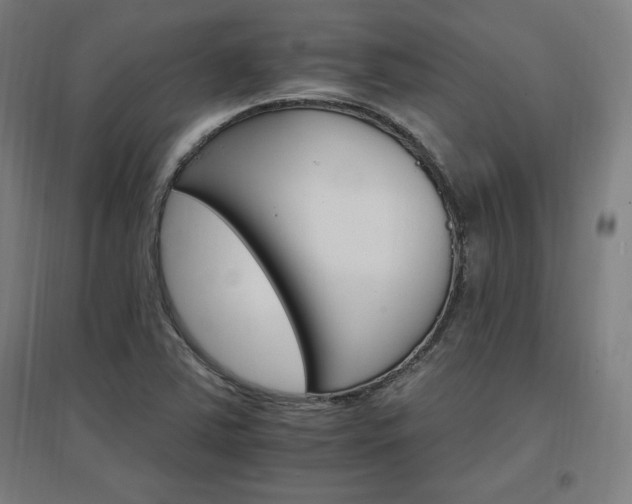 X0000096971363200802151259