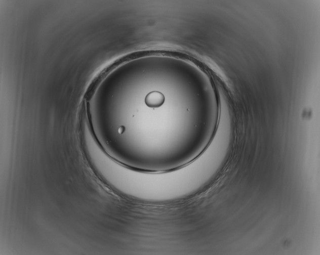 X0000096971364200802151259