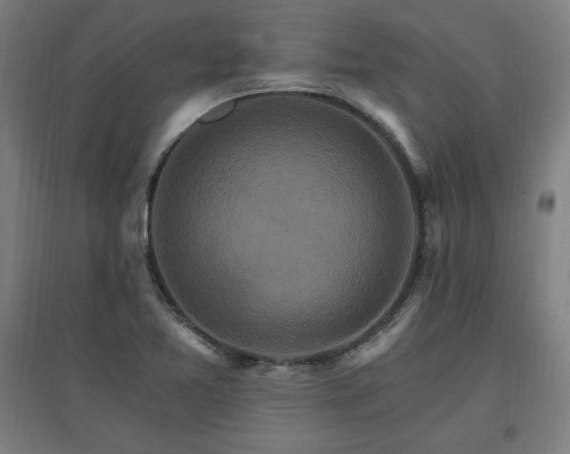 X0000096971365200802151259