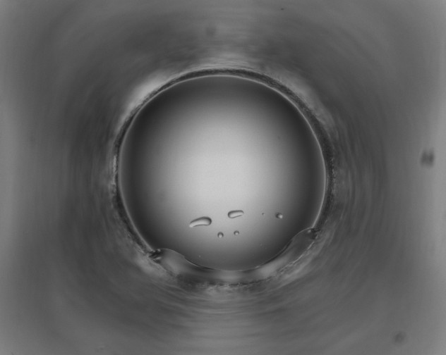 X0000096971366200802151259