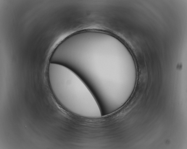 X0000096971367200802151259
