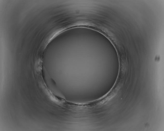 X0000096971369200802151259