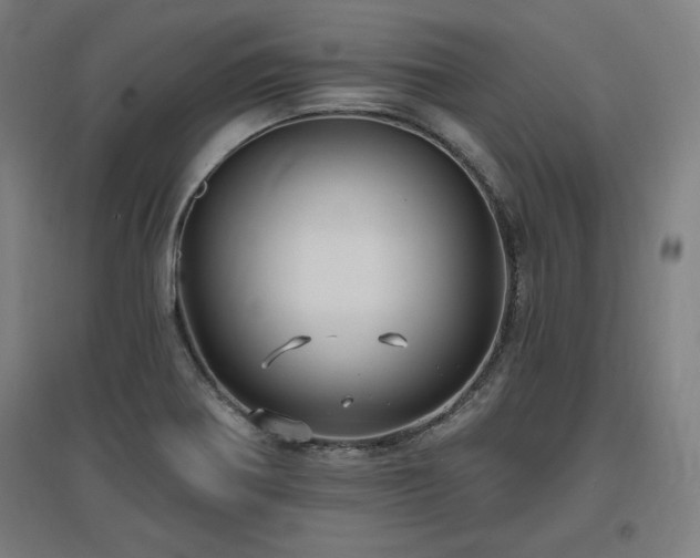 X0000096971370200802151259